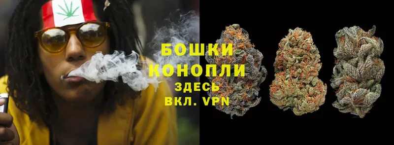 Бошки марихуана THC 21%  Костомукша 